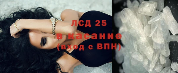 ГАЛЛЮЦИНОГЕННЫЕ ГРИБЫ Богданович