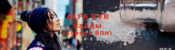 шишки Беломорск
