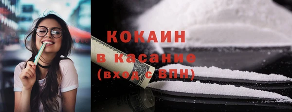 твердый Богородск