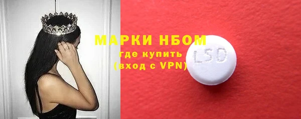 шишки Беломорск
