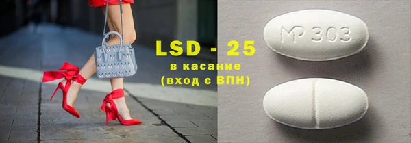 ГАЛЛЮЦИНОГЕННЫЕ ГРИБЫ Богданович