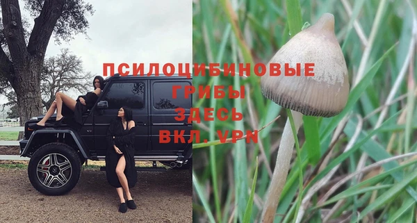 дистиллят марихуана Белокуриха