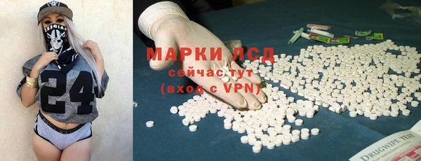 шишки Беломорск