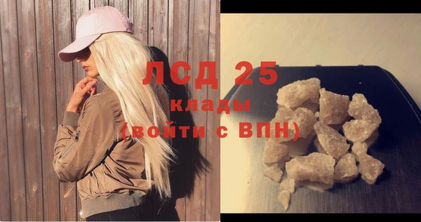 шишки Беломорск