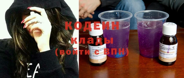 ГАЛЛЮЦИНОГЕННЫЕ ГРИБЫ Богданович