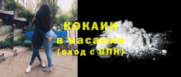 шишки Беломорск