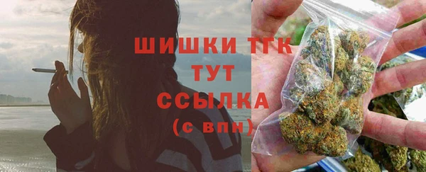 шишки Беломорск